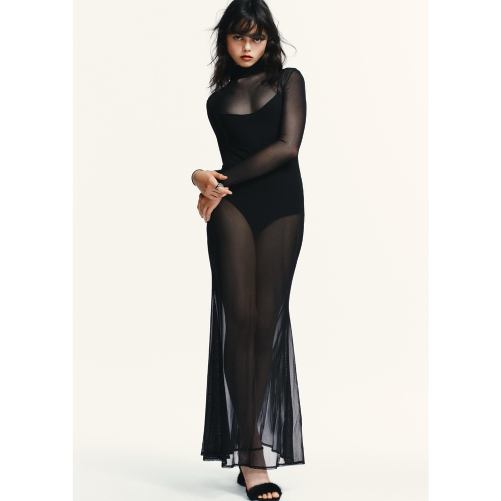NWT🖤Zara Black Sheer Maxi Dress